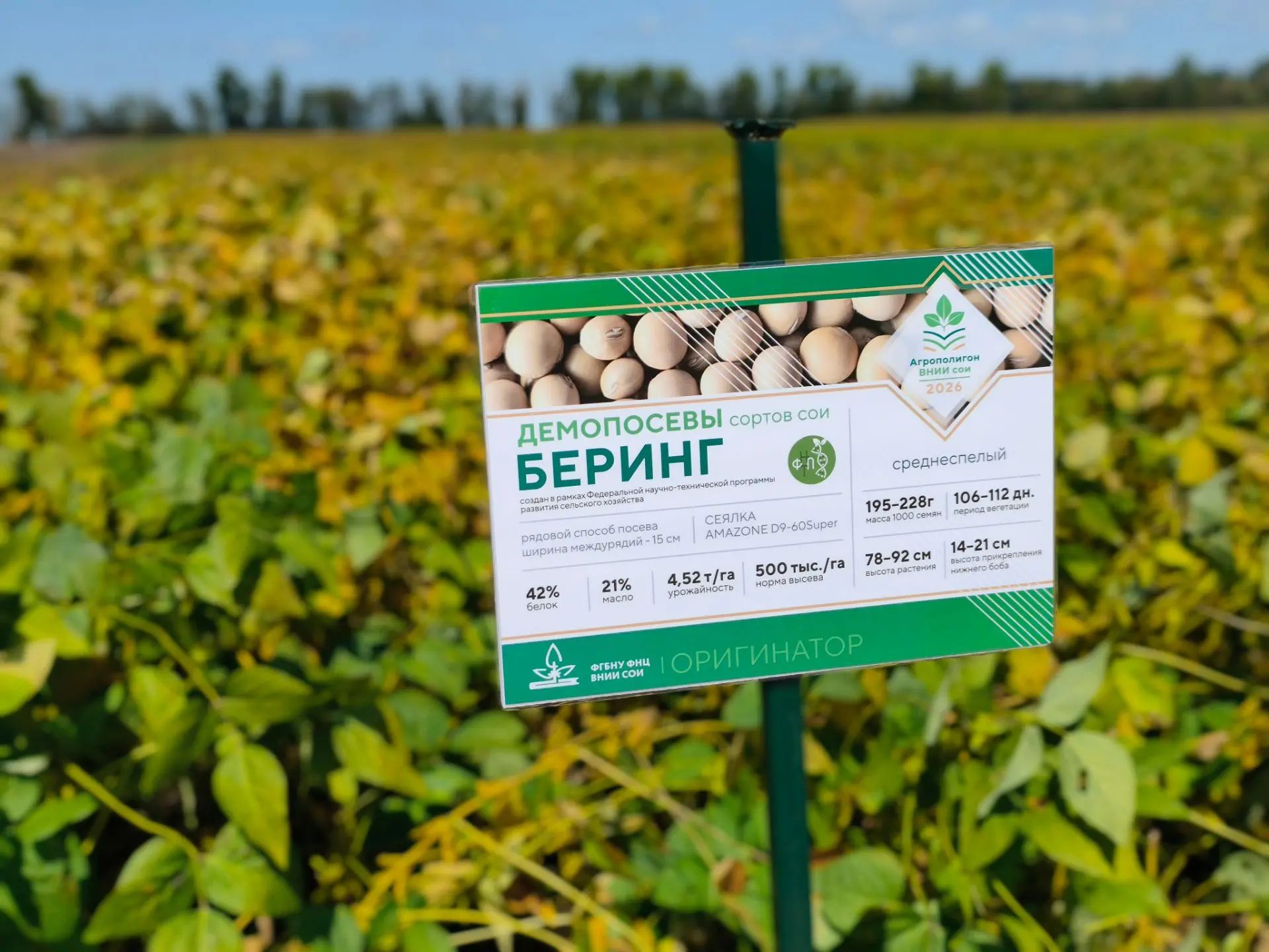 ВНИИ сои представил сортовые новинки на «АмурАгроФоруме-2026». Главный агропромышленный форум региона стартовал сегодня в селе Садовое.