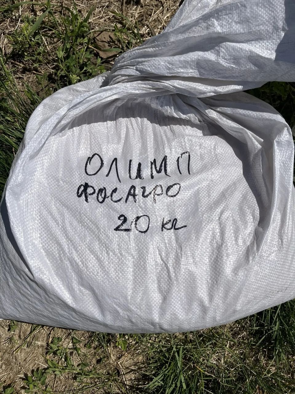ВНИИ сои изучает новую систему питания растений: микроэлементы внесли в почву при посеве.