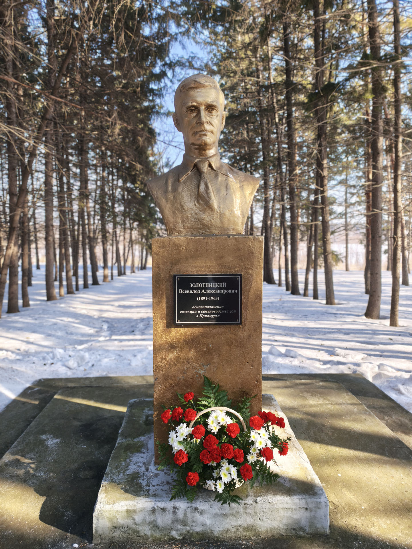 2026 - год 135-летия со дня рождения Всеволода Александровича Золотницкого – ученого, который первым обратил внимание на большой потенциал сои. Он же в 1927 году вывел первый отечественный сорт – «Амурская желтая популяция»