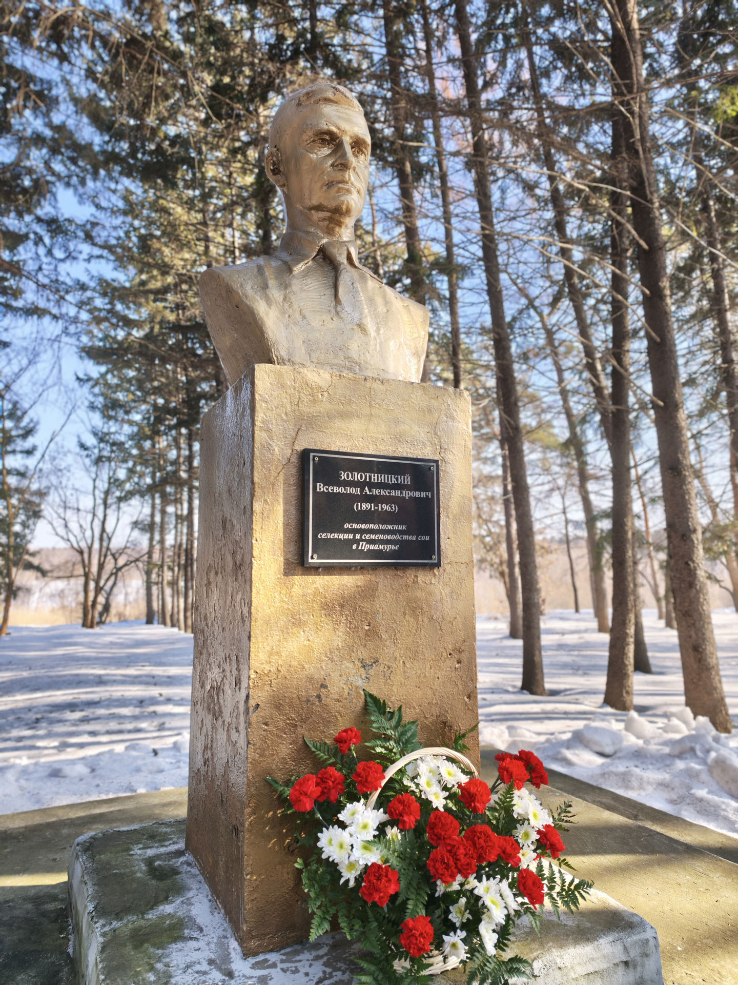 2026 - год 135-летия со дня рождения Всеволода Александровича Золотницкого – ученого, который первым обратил внимание на большой потенциал сои. Он же в 1927 году вывел первый отечественный сорт – «Амурская желтая популяция»