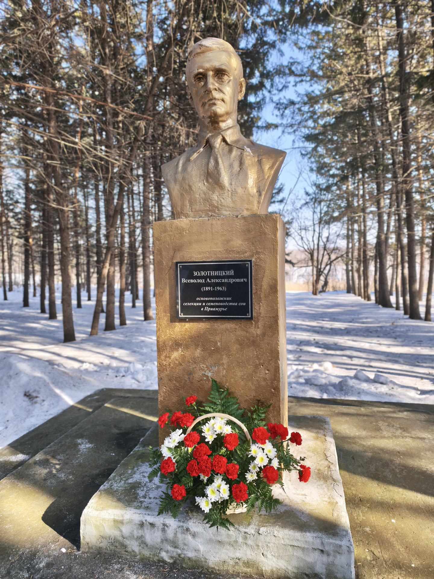 2026 - год 135-летия со дня рождения Всеволода Александровича Золотницкого – ученого, который первым обратил внимание на большой потенциал сои. Он же в 1927 году вывел первый отечественный сорт – «Амурская желтая популяция»