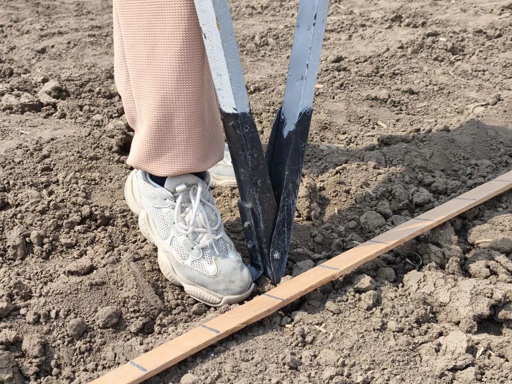 Каждое семечко на счету! Селекционеры ВНИИ сои приступили к ручному севу сортообразцов на опытных участках в рамках государственного задания.