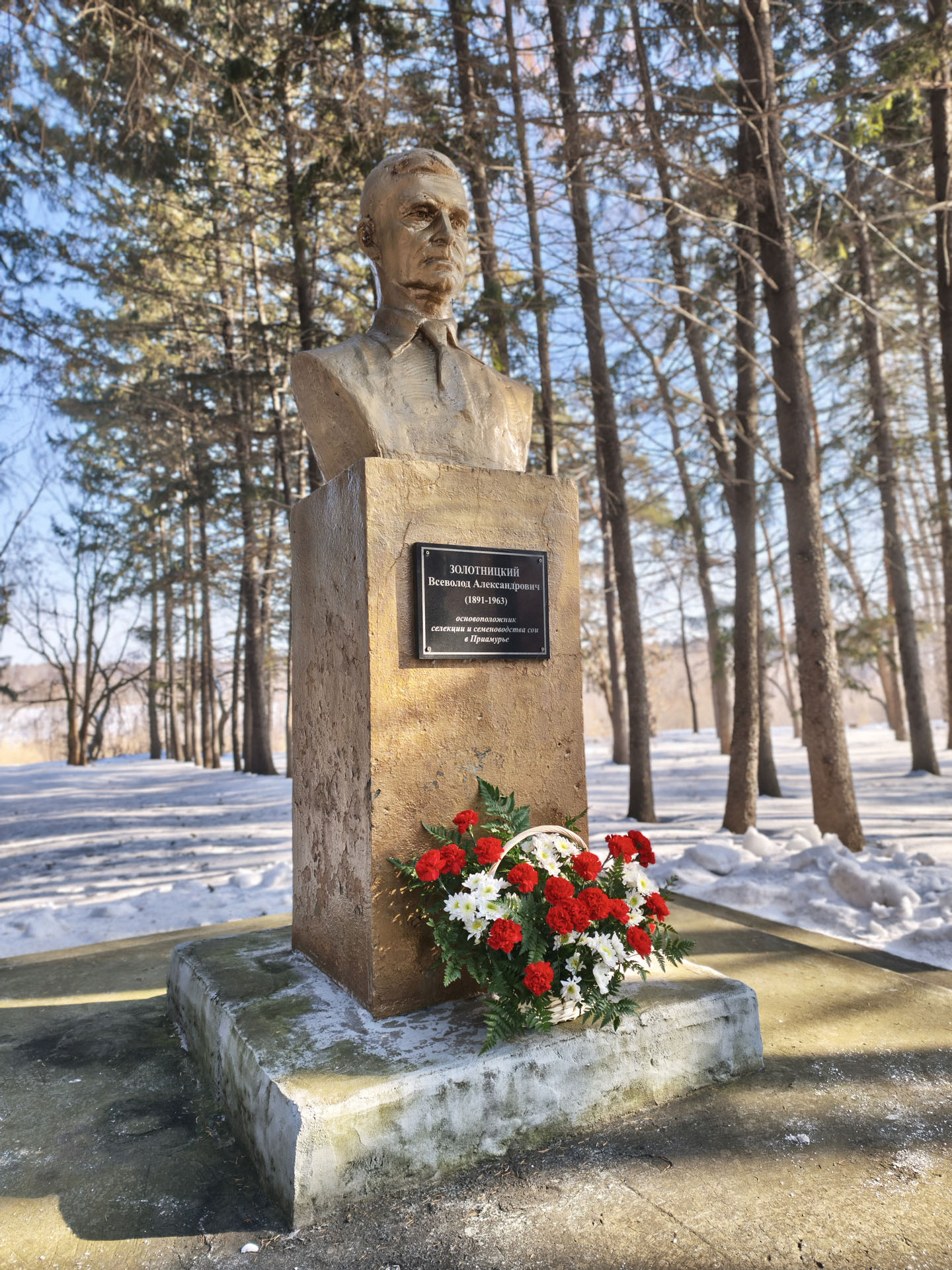2026 - год 135-летия со дня рождения Всеволода Александровича Золотницкого – ученого, который первым обратил внимание на большой потенциал сои. Он же в 1927 году вывел первый отечественный сорт – «Амурская желтая популяция»
